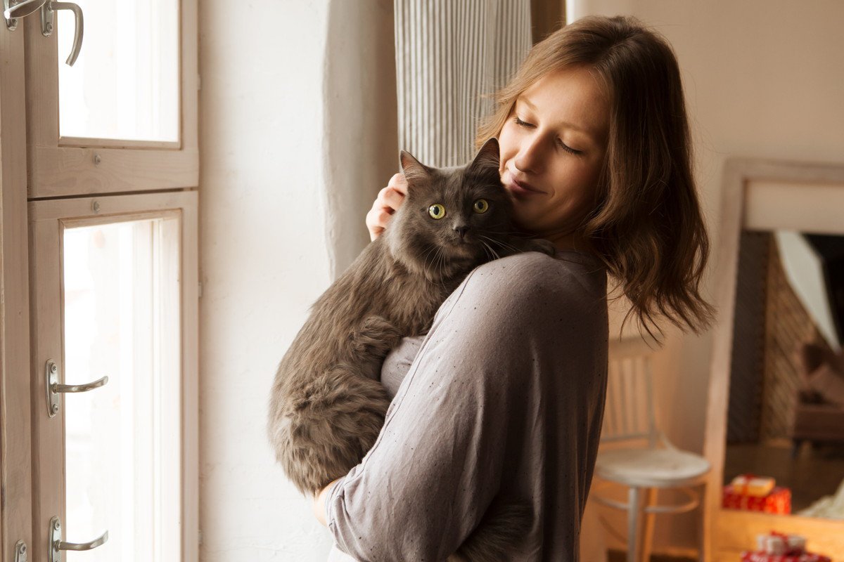 愛猫にこの気持ち、伝えたい…うまく伝えるためにやってほしい、3つの方法