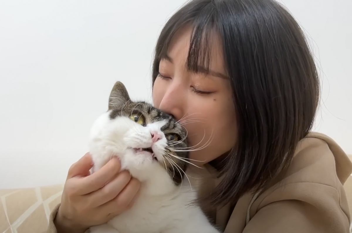 猫への愛が限界突破してしまったママ→思わず耳を食べてしまった結果…『可愛すぎる反応』が28万再生「たまらん」「食べられたｗ」