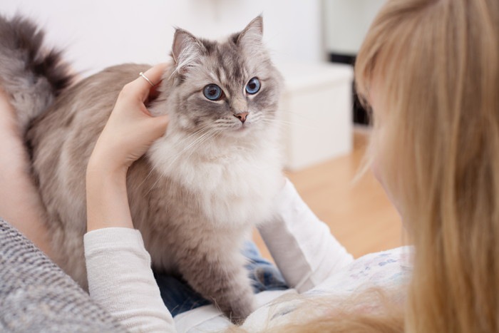 猫の混合ワクチンの種類と効果