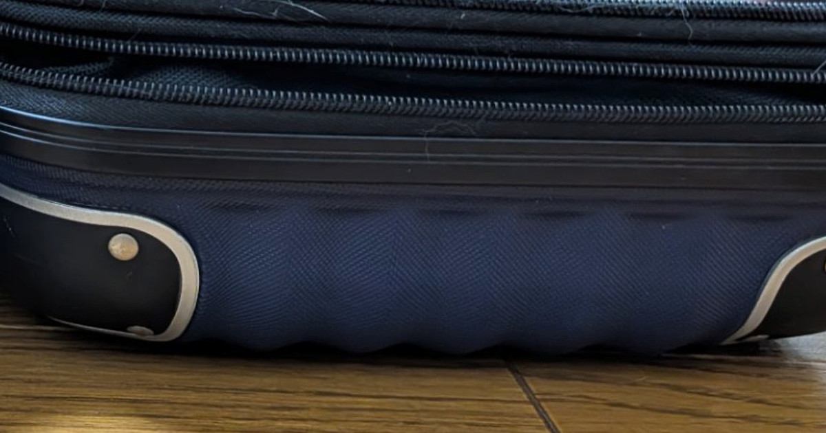 スーツケースを広げて荷物を片付けていたら、『猫たち』が…可愛すぎる光景に笑顔になる人が続出「ジャストフィットｗ」「笑った」