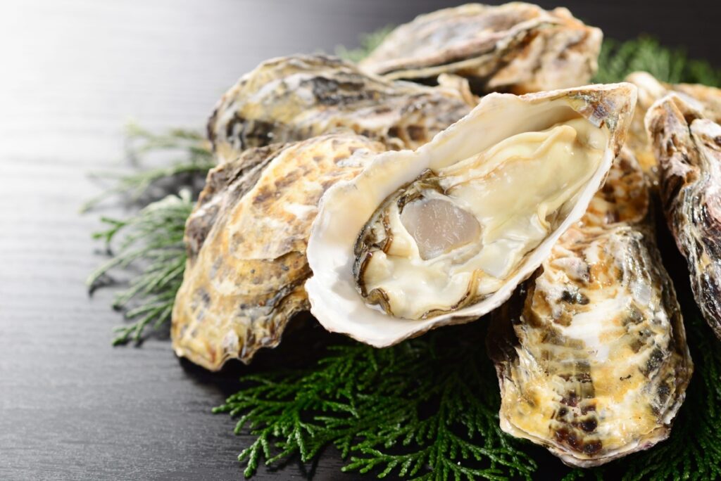 【獣医師監修】猫は牡蠣を食べても大丈夫？生牡蠣が危険な理由と安全な与え方を解説