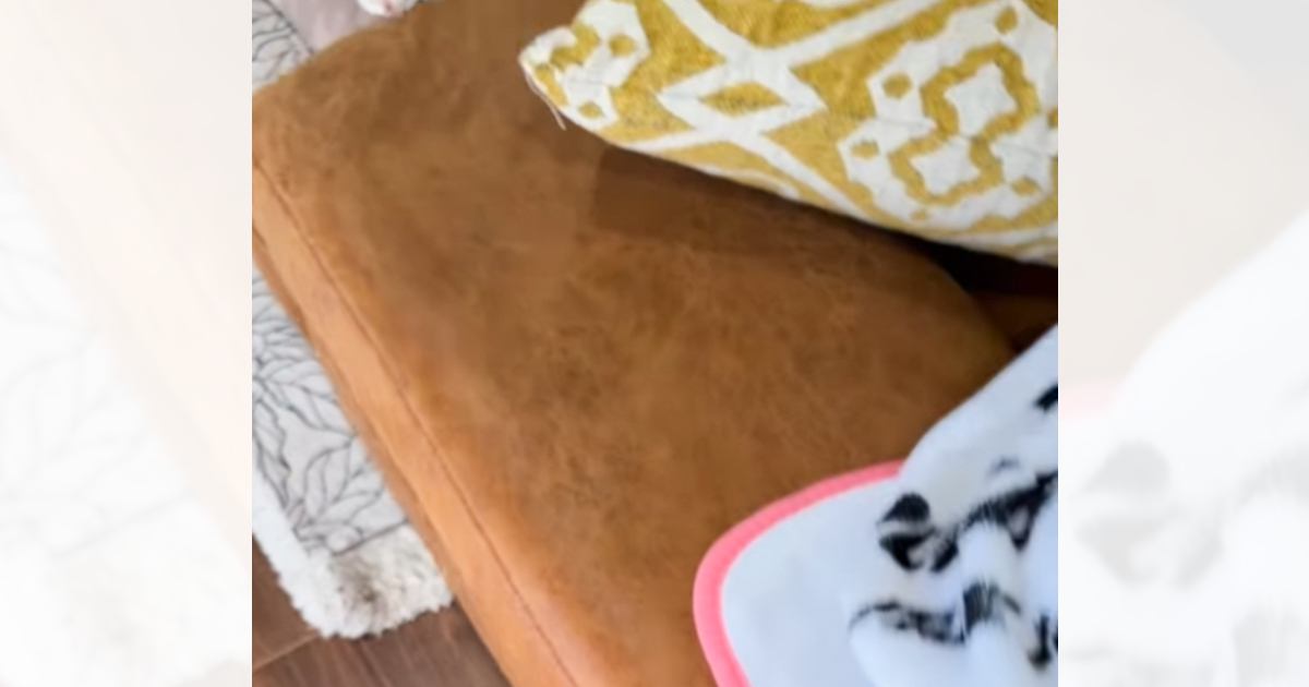 息子に『見て見て～』と呼ばれて行ってみたら……子猫2匹の『尊すぎる光景』が7万再生「なんて可愛さ」「完敗」と悶絶する人が続出