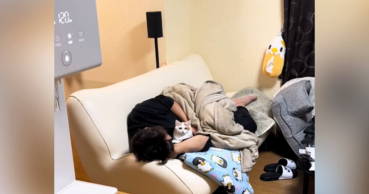 朝ごはんを待っていた猫ちゃん→飼い主が『寝落ち』した結果…可愛すぎる『絶妙な表情』が14万再生「助けを訴えてるｗ」「あれ？ってｗ」