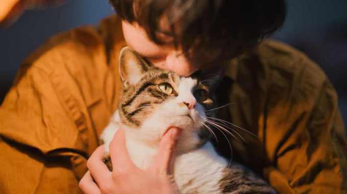 猫が飼い主に『切実にお願いしたいこと』5つ