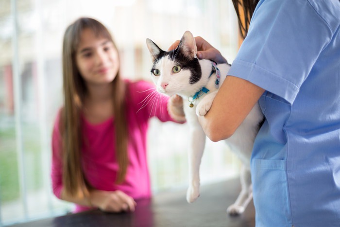 猫のうんちから健康状態を把握しよう