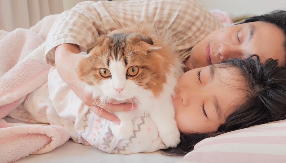 家族が寝てる間の猫を一晩中隠し撮りしてみたら…幸せすぎる光景に478万人がほっこり　『羨ましい』『癒やされた』の声