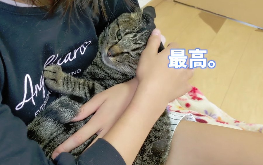 お姉ちゃん派のオス猫ちゃん！抱っこでご満悦