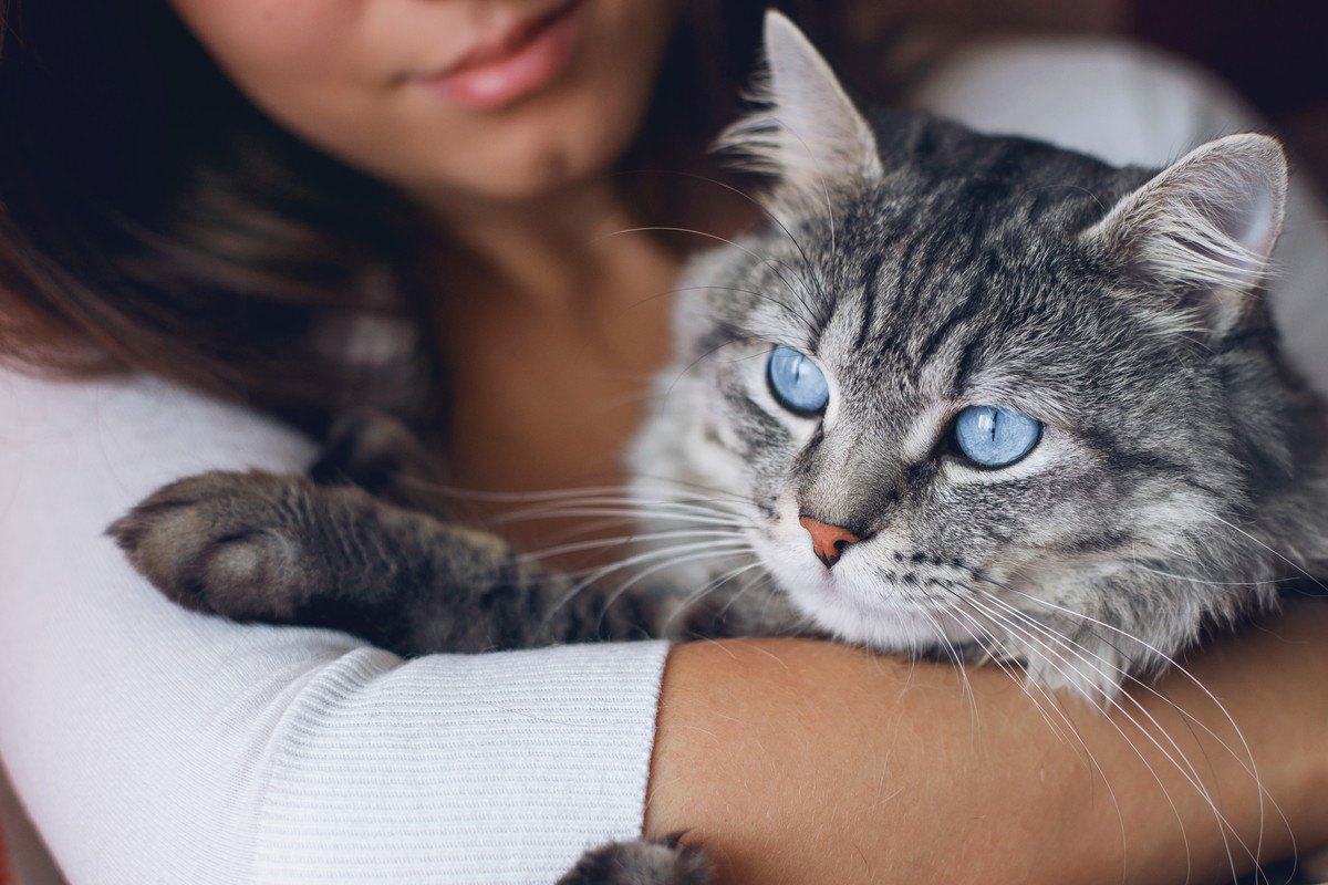 猫が『飼い主を慰めたい』ときにする仕草3つ