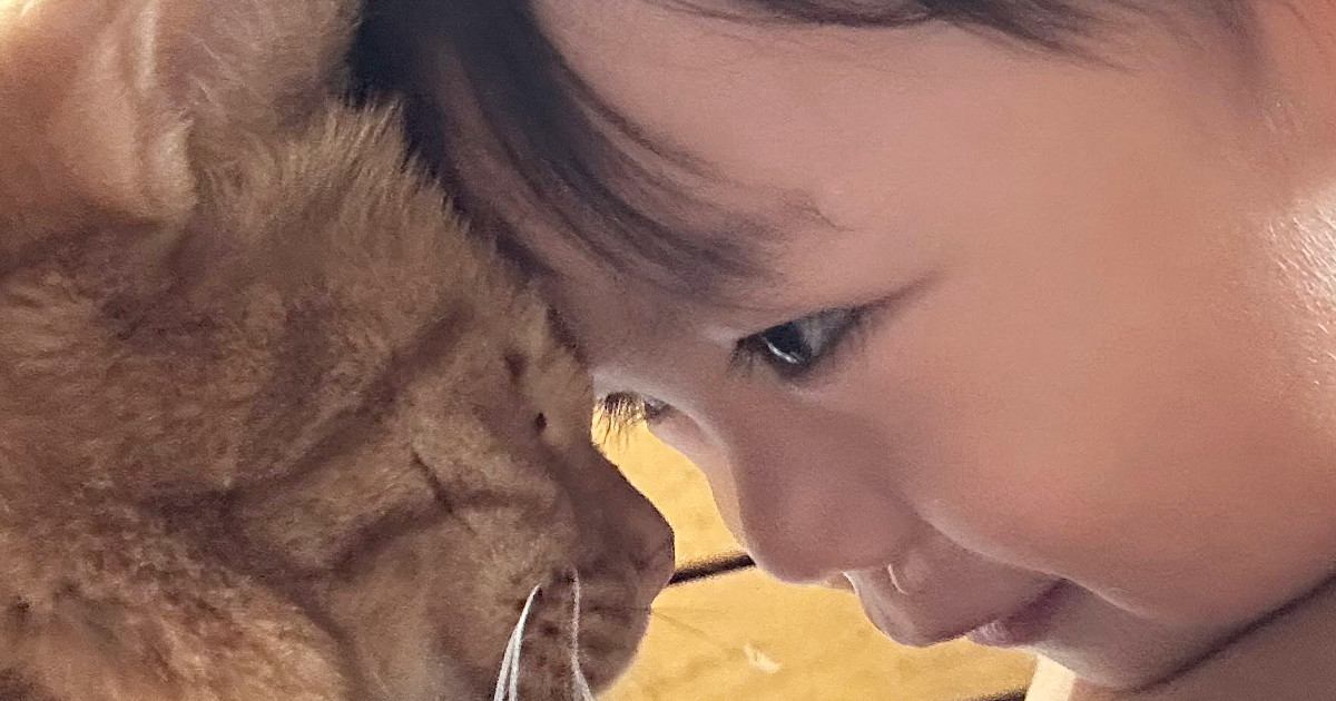 猫が暮らす実家に赤ちゃんを連れて行くと…仲良しすぎる『ふたりの様子』にほっこり「どちらも天使」「幸せな時間だね」と2万いいね