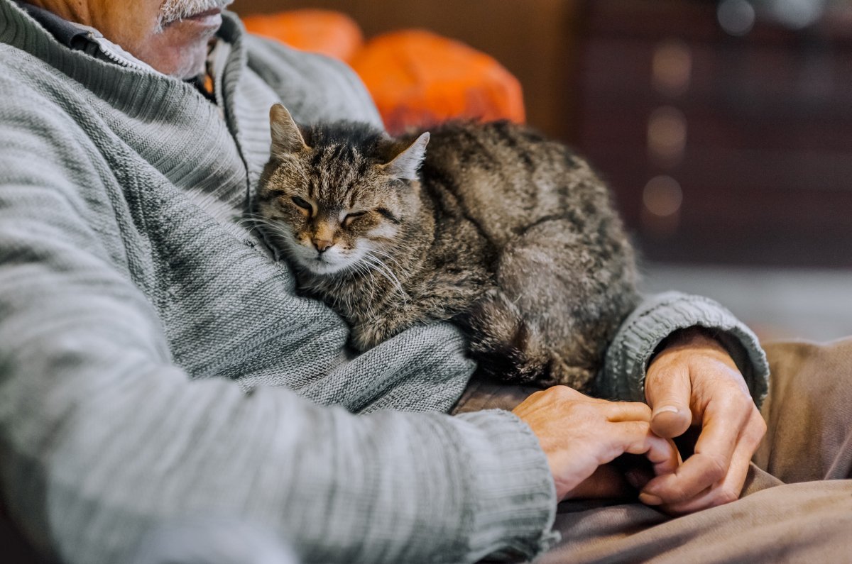 愛猫と過ごせる最期の時間『エンジェルタイム』とは？後悔のないお別れをするためにできることも