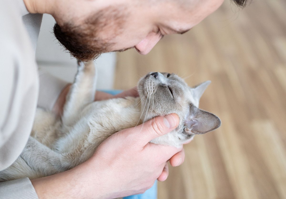 愛猫は『幸せ』と感じてる？5つの確かめる方法