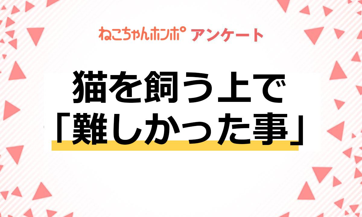 【アンケート実施中！】猫を飼う上で「難しかった事」について