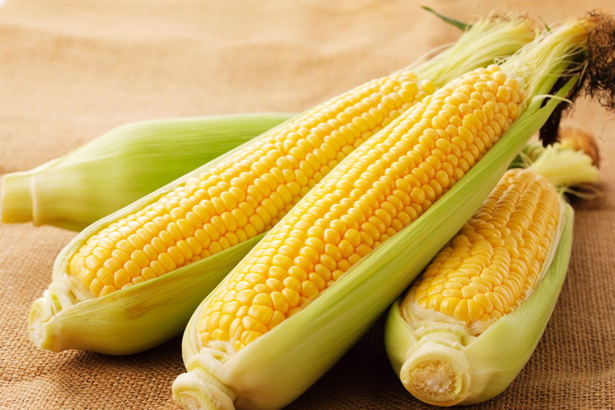 猫には絶対に与えてはいけない『夏の危険な野菜』3選とその理由　誤食したときの対処法も