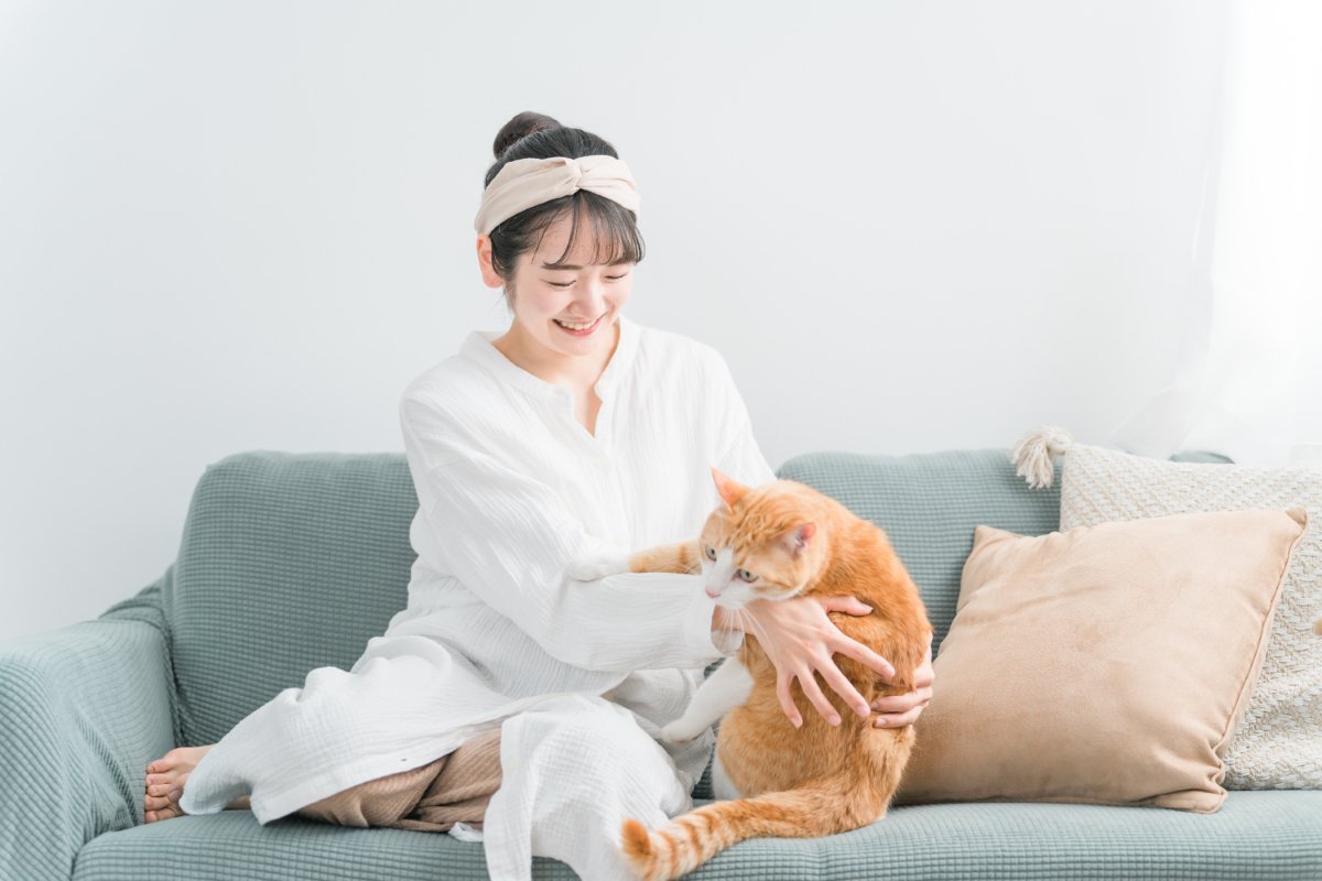 猫を不幸にさせる『飼い主のダメ行動』4選　無意識に嫌われてしまうかも？すぐに改善すべき理由まで