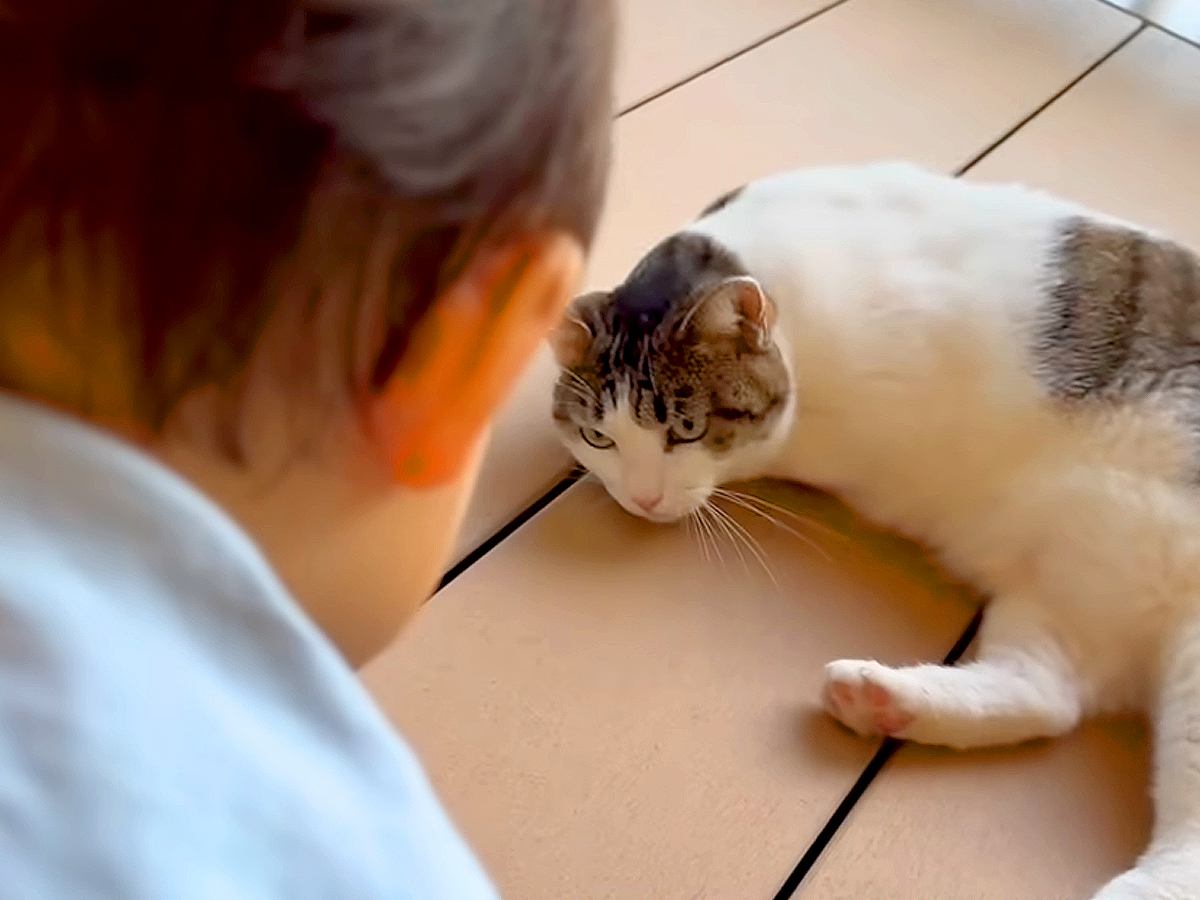 赤ちゃんが苦手で逃げ回っていたネコ→ママに甘えている最中、頭を近づけて…『感動の瞬間』に「成長しているね」「泣いちゃう」と称賛の声