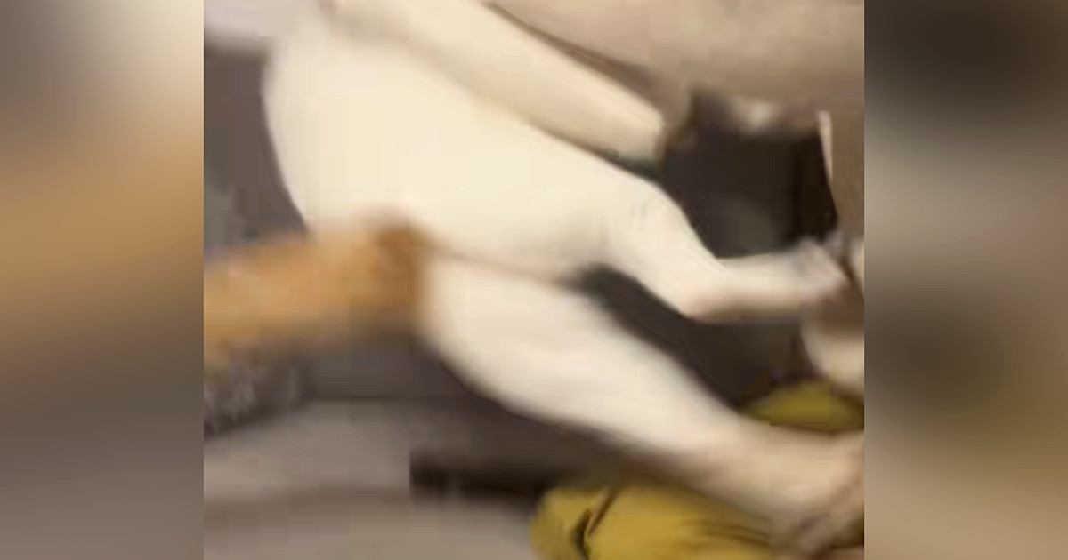 今にも『突撃してきそうだった猫』→飼い主さんが危険を察知して…爆笑の瞬間が60万再生「えげつないｗｗ」「何回でも見れるｗ」