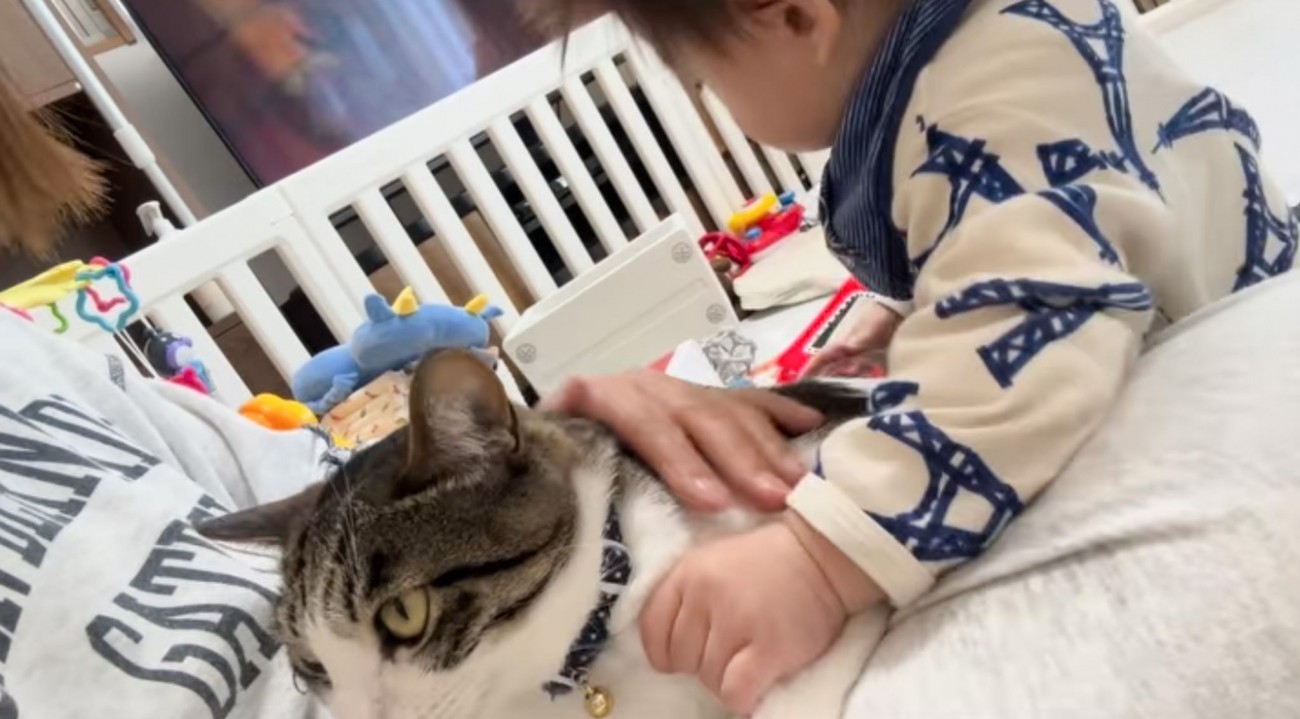猫のそばにいた赤ちゃんが次の瞬間…育児してなかったら『一生言わなかったであろう言葉』に「確かに言わないｗ」「静かな場所で吹いたｗ」と爆笑
