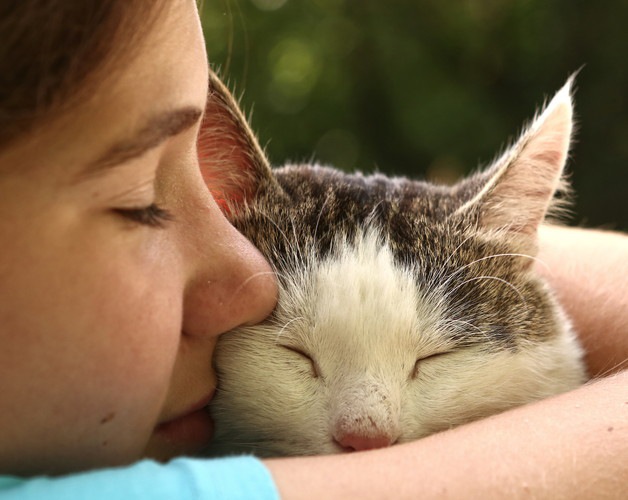 愛猫の最期の瞬間って？最期に飼い主ができる事