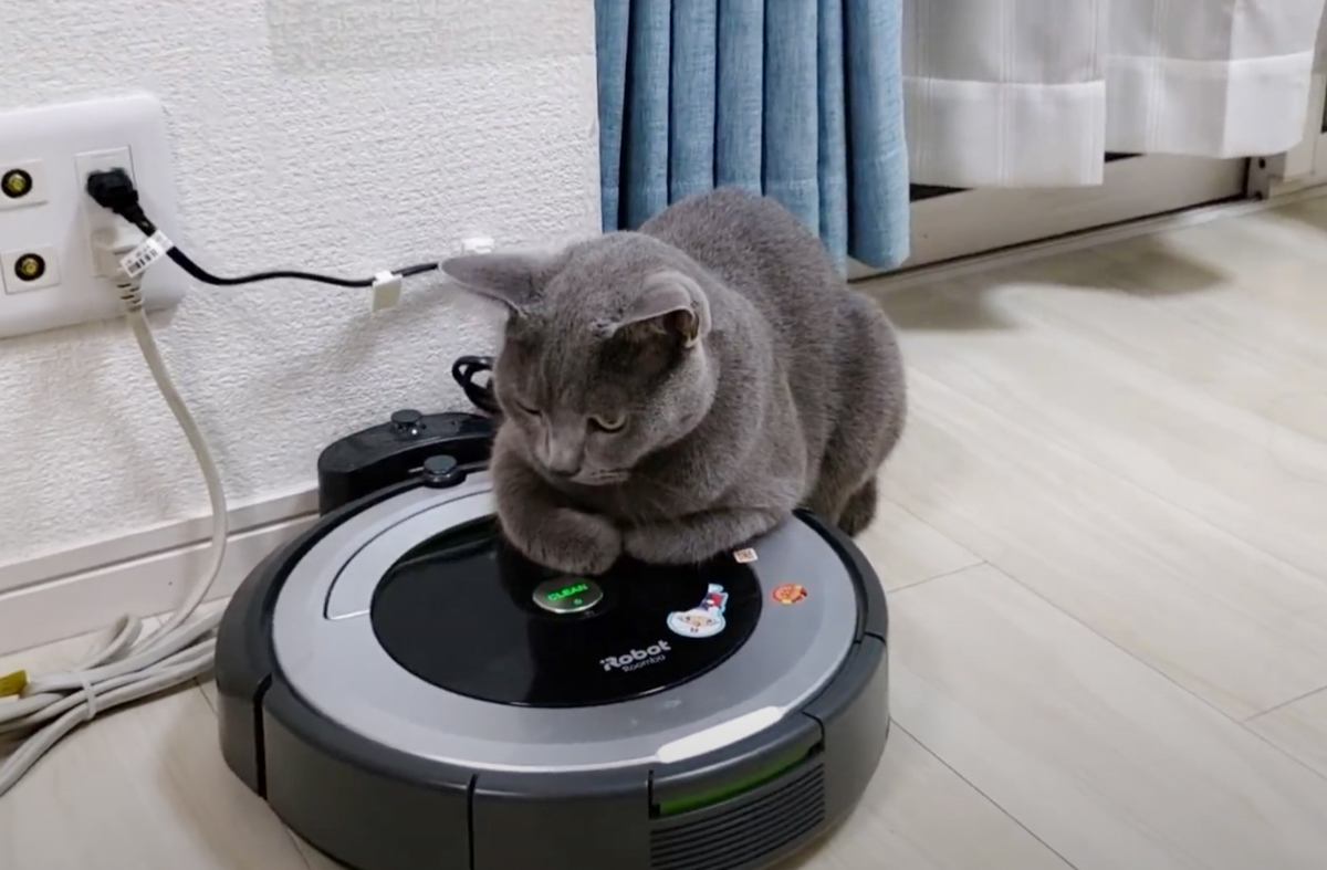 ロボット掃除機に乗っていた猫→パパが『スイッチを入れた』結果…120点の反応が面白すぎると26万再生「綺麗ｗｗ」「めちゃめちゃ笑った」