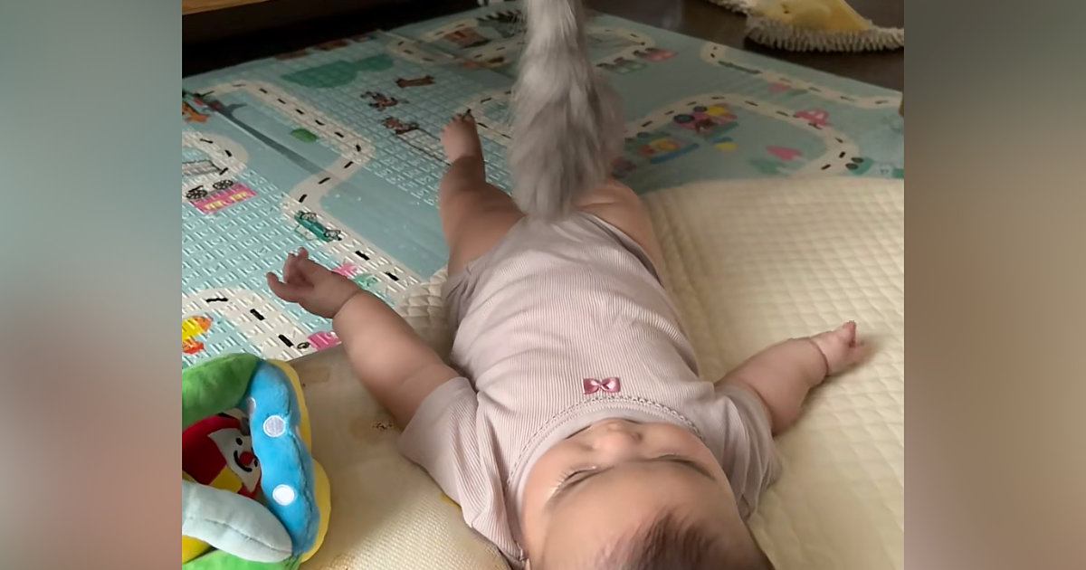 しっぽを器用に動かして『赤ちゃんと遊んであげる猫』…驚きの光景に「ちゃんと反応を見て動かしてるの凄い」「面倒見が良すぎる」と23万再生