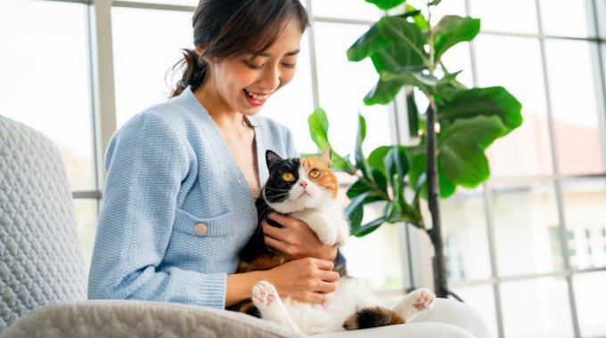 猫のテンションが上がる『飼い主の言葉』3選！