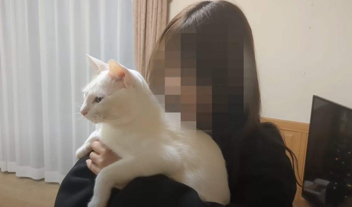 猫は大好きだったお姉ちゃんを覚えてる？→3ヶ月ぶりに帰ってきた結果が…尊い再会の光景に「泣けてきた」「愛が深すぎる」と28万再生の反響