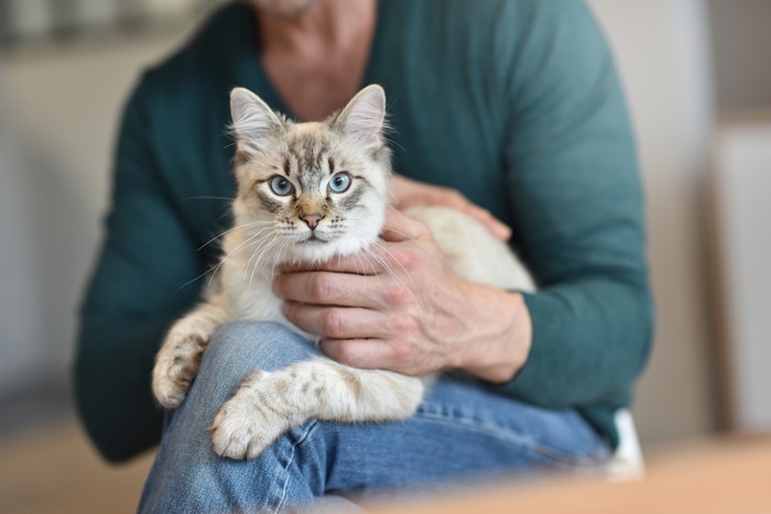 ただひたむきに猫を愛し、猫に愛された男たち