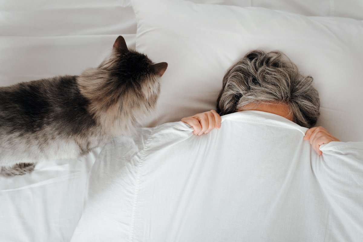 猫が『飼い主の枕』を使って寝たがる理由3つ　隠されている心理や上手な対処法もご紹介