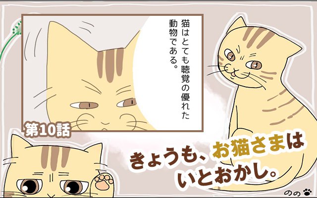 きょうも、お猫さまはいとをかし。【第10話】「心配ご無用」