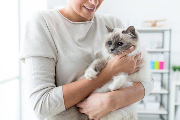 猫の癒し効果とその医療的根拠について