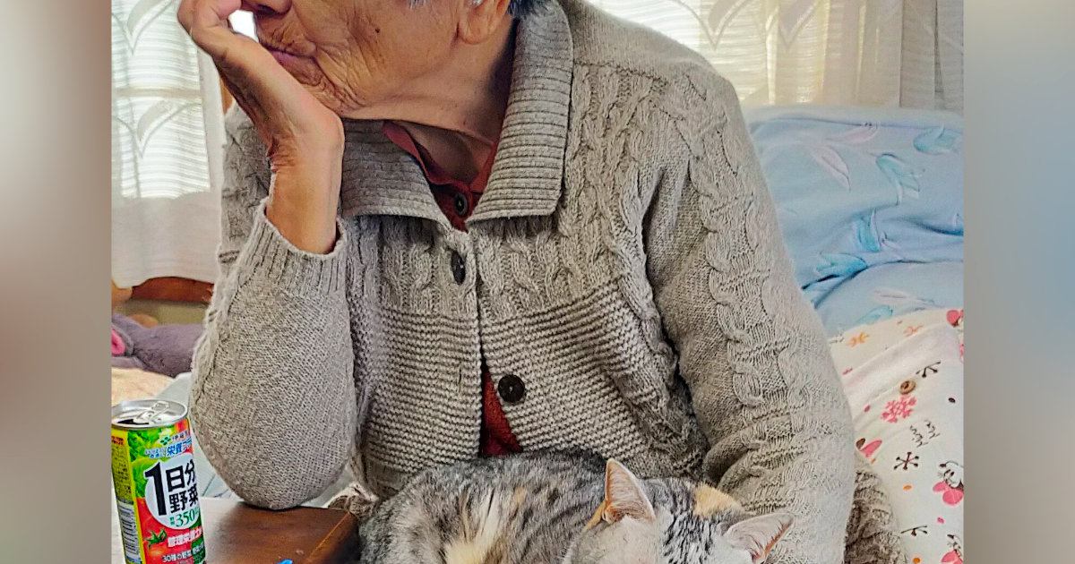そっぽを向くおばあちゃん→『膝の上』を見ると猫が…『ツンデレ』なふたりの様子に10万いいね「きっとお互いのことが大好き」「愛ですな」
