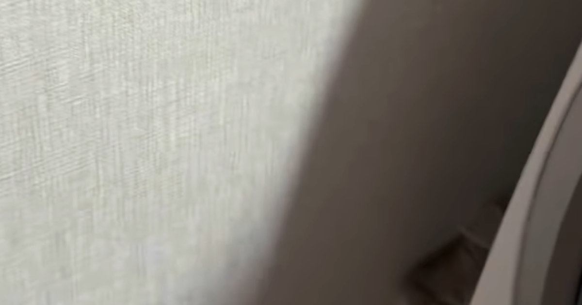 掃除機をかけていると、『狭い隙間』に…猫たちがとった『可愛すぎる行動』に癒される人が続出「重なってるｗｗ」「笑っちゃったｗ」