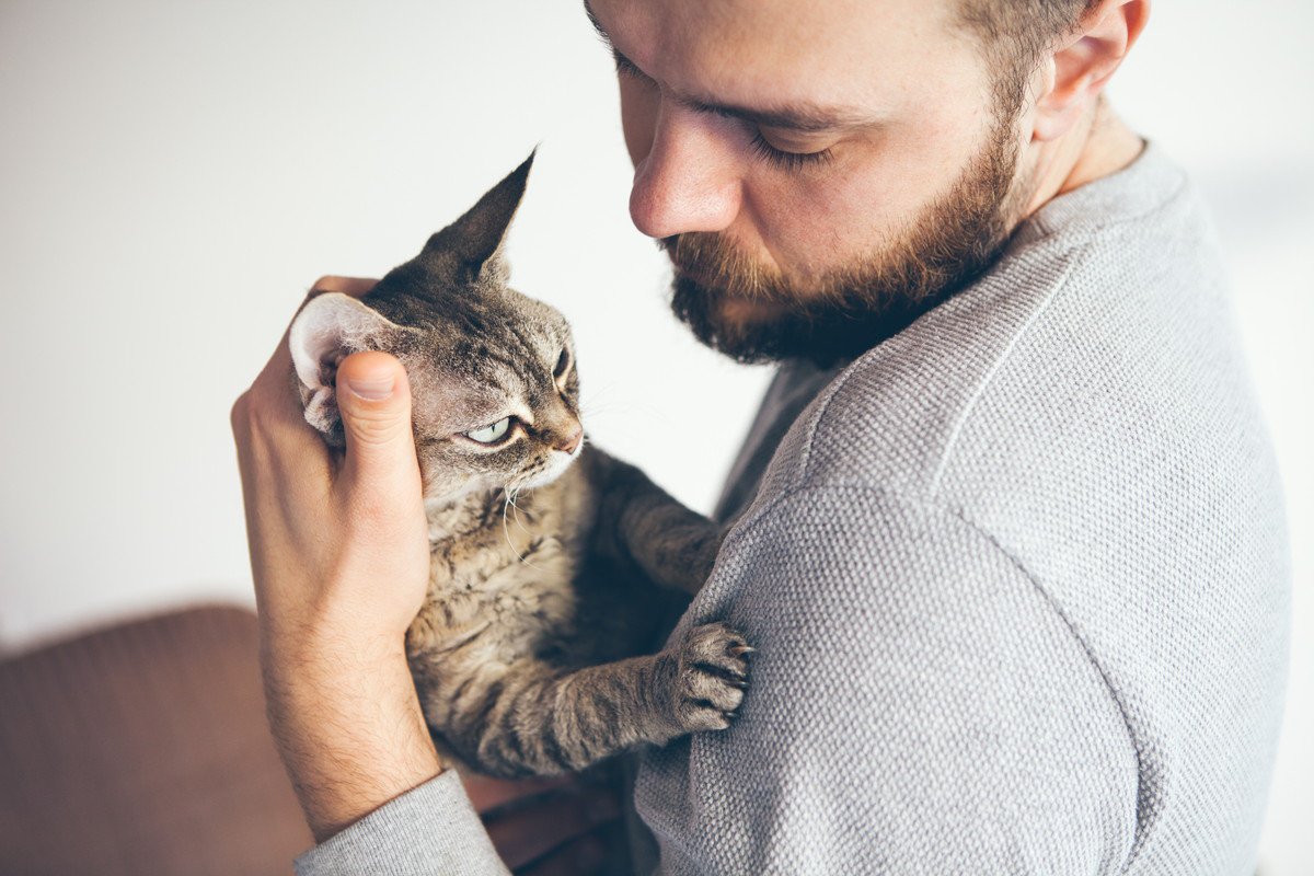 『抱っこ』が苦手な猫の気持ち2つ！慣れてもらう方法とは？