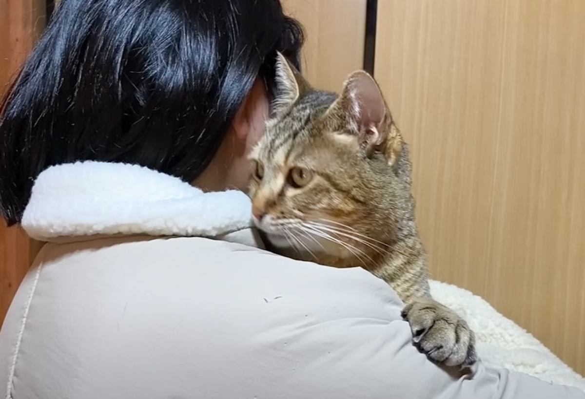 元野良猫が大好きな女の子に『初めて抱っこされた』結果…かわいすぎる光景が12万8000再生「嬉しかったんだね」「涙が出た」