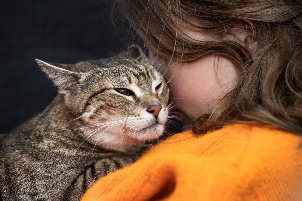 愛猫にしておけば良かったと後悔する『５つのこと』