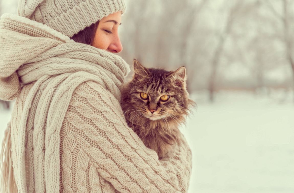 猫の抱き方の正しい方法と注意点