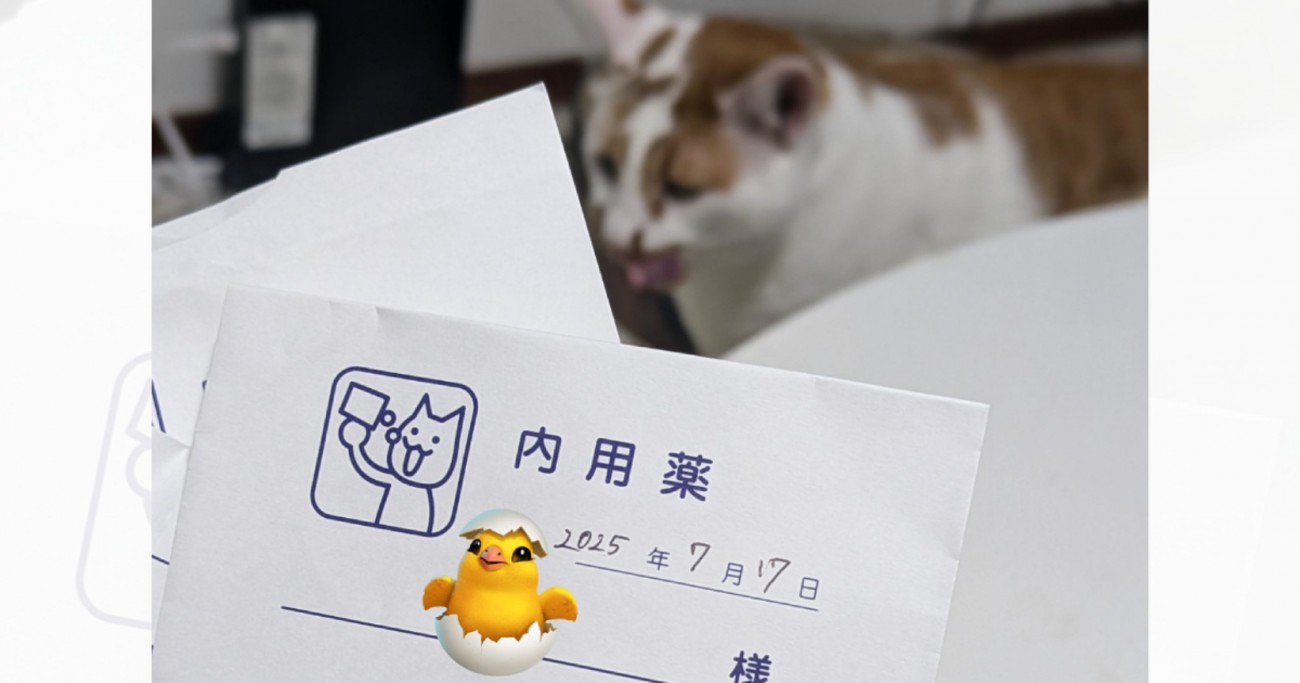 動物病院で処方された猫の抗不安薬→袋の『メモ書き』を見てみたら……予想外の『タイミング』が可愛すぎると379万表示