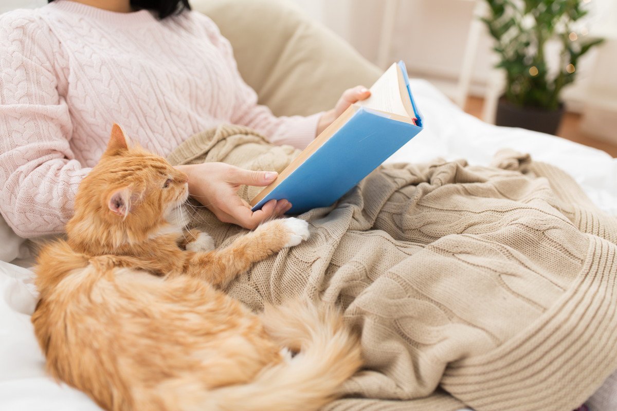 愛猫が『飼い主さんのそばから離れない』ときの理由4選　あんまりベッタリなら対処したほうがいい？
