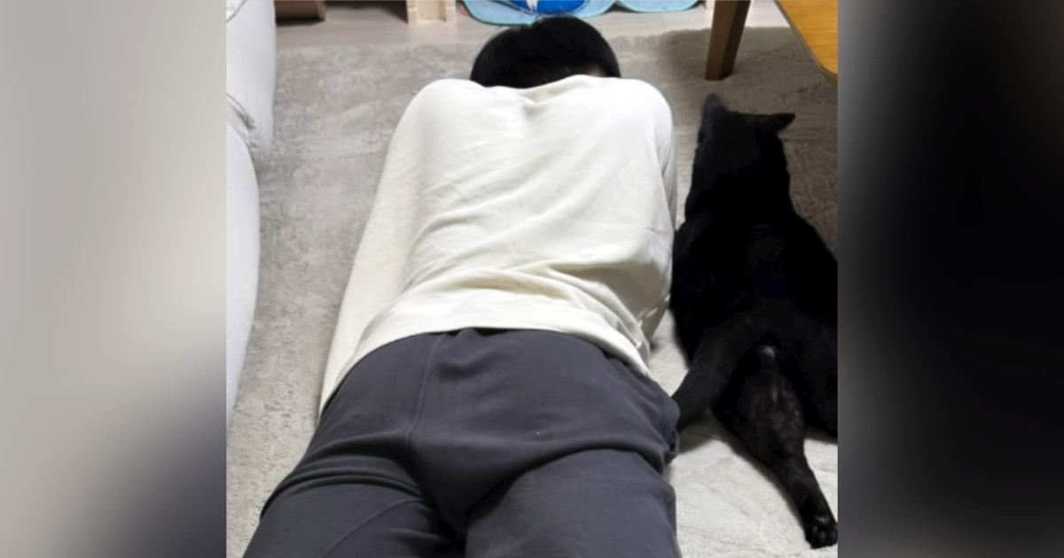 同じ体勢で寝転がっていた猫とお兄ちゃん→仲良く眠っているのかなと思ったら…予想外の『尊すぎる瞬間』に「ぎゃわいい」「あまりにも仲良し」