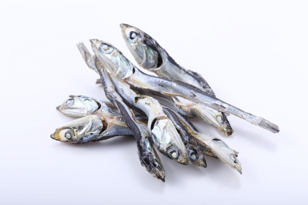 【獣医師監修】猫が人間用の煮干しを食べるのはNG？病気のリスクと誤食時の対処法を解説