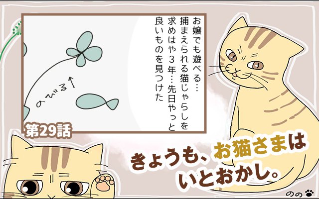 きょうも、お猫さまはいとをかし。【第29話】「困惑」