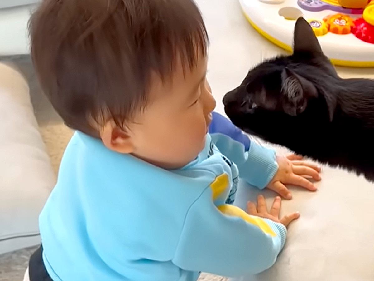 赤ちゃんがグズりそうになると、黒猫が顔を近づけて…尊くてたまらない『素敵な光景』にホッコリ「癒やされた」「本当のお兄ちゃんみたい」