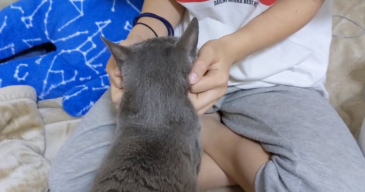 娘のことが大好きな猫→娘が部屋から出ていくと…『分かりやすすぎる反応』に「差が激しくて笑ったｗ」「明らかに変わったねｗ」と13万再生
