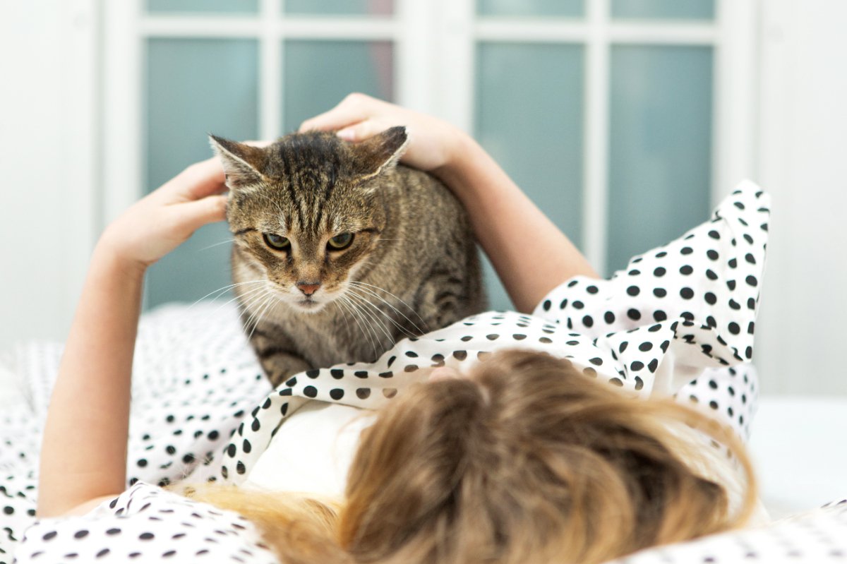 猫が『朝飼い主さんを起こすために使うワザ』3選　寝不足がツライときの対抗手段も