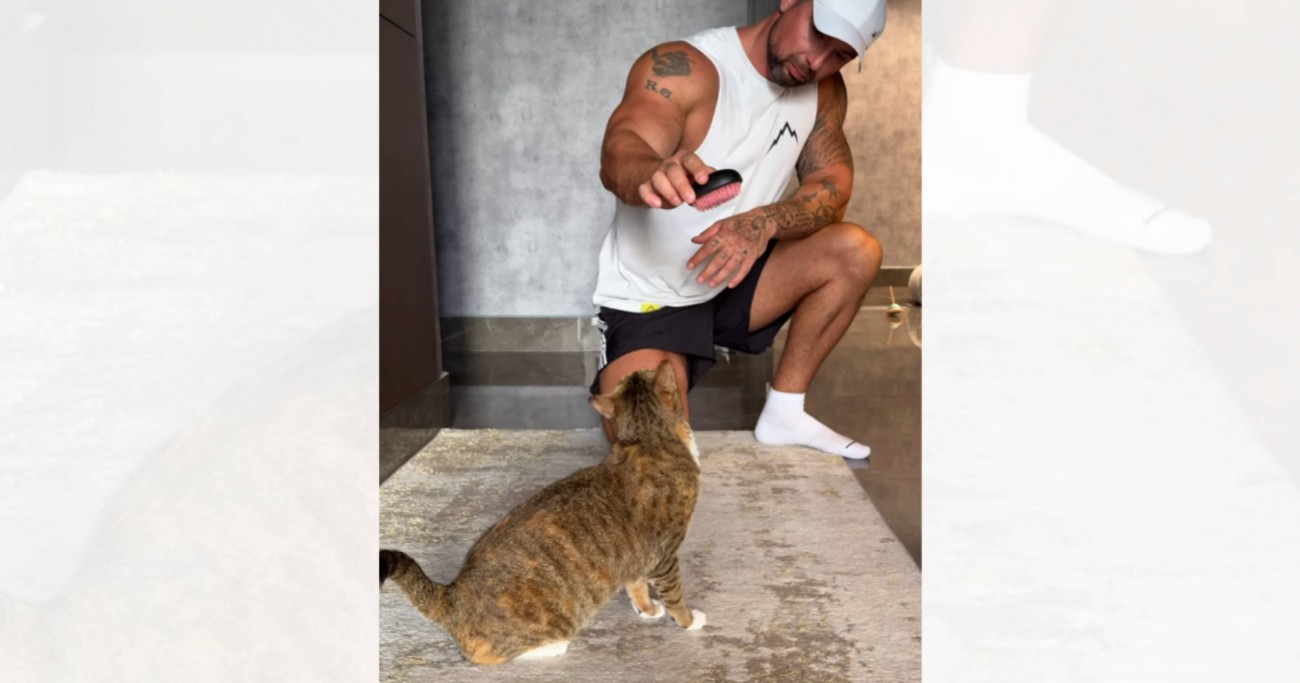 飼い主さんがブラシを取り出して猫に見せると…あまりにも尊い『朝の光景』が182万再生「愛情が感じられて素敵」「何時間でも見れる」＜海外＞