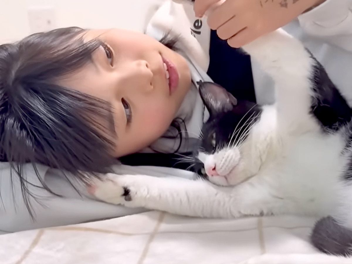 女の子たちが白黒猫の匂いをクンクン→嫌がるかと思ったら…予想に反した『まさかの反応』が15万再生「液体化してるｗ」「なんてできたニャンコ」
