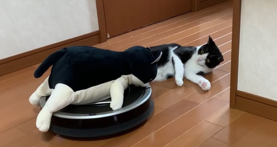 猫ちゃんの愛車『ルンバ』ついにお譲りする時がきた？！