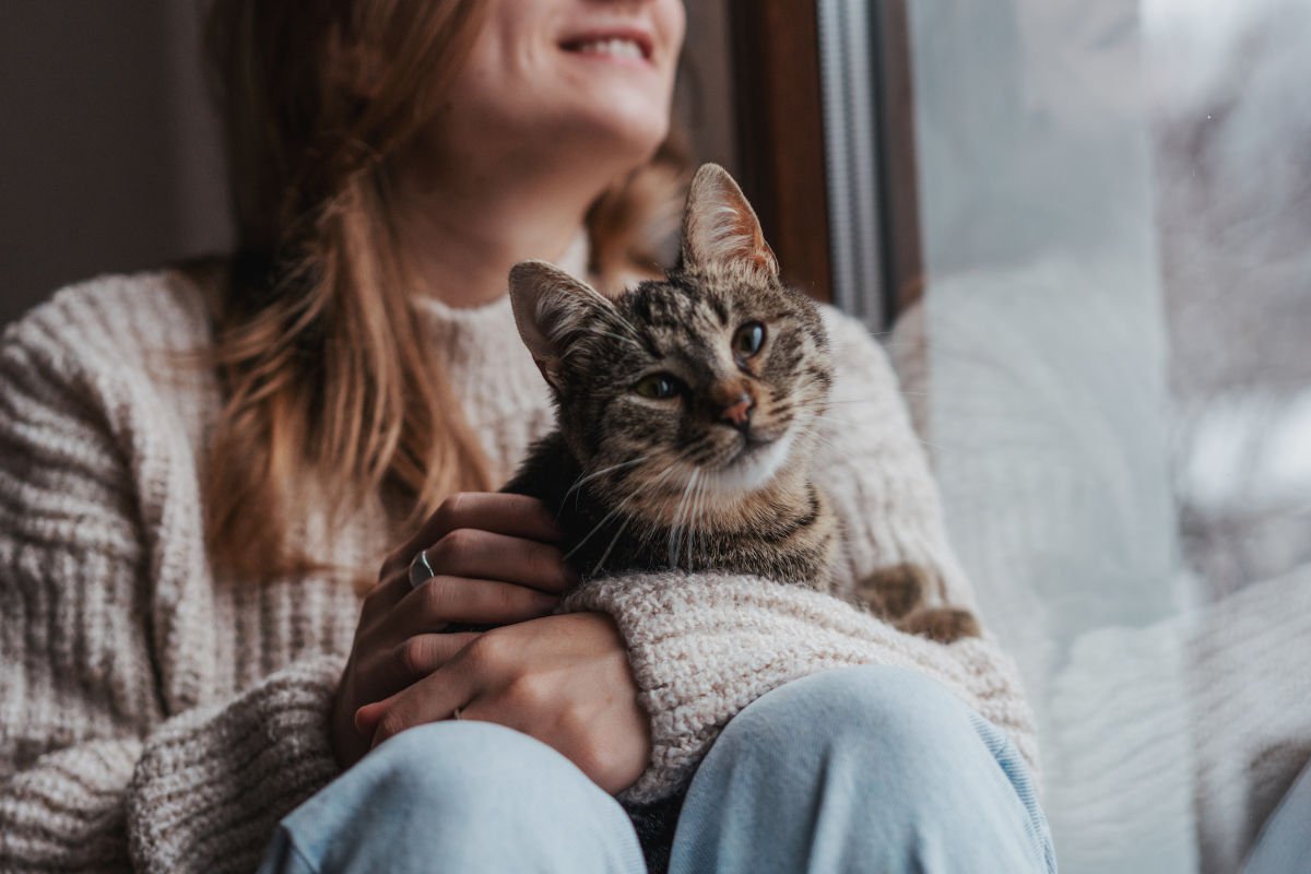 猫の寿命が縮まる『タブーな飼い方』5選とその理由　猫ファーストと心得るべし