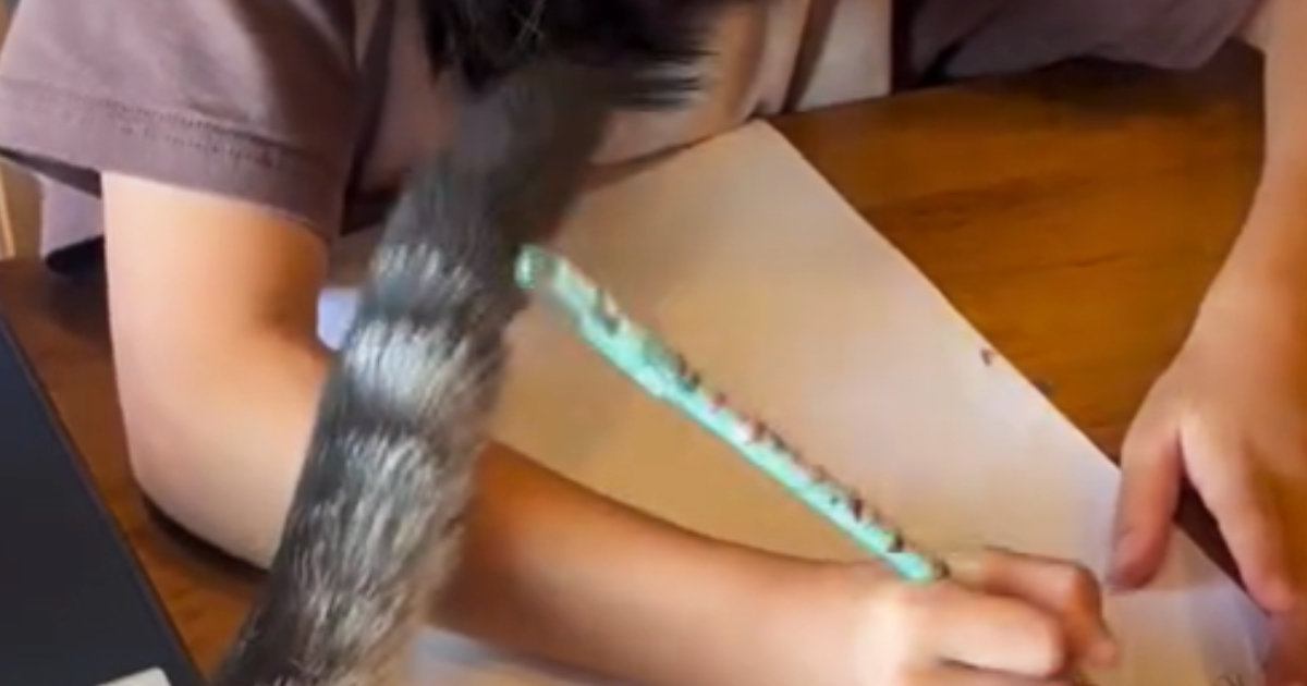 夏休みの宿題をしている女の子に『構ってほしい猫』…思わず笑ってしまう『アピールの仕方』に「急かしてるねぇｗ」「絶対わざとなやつｗ」の声