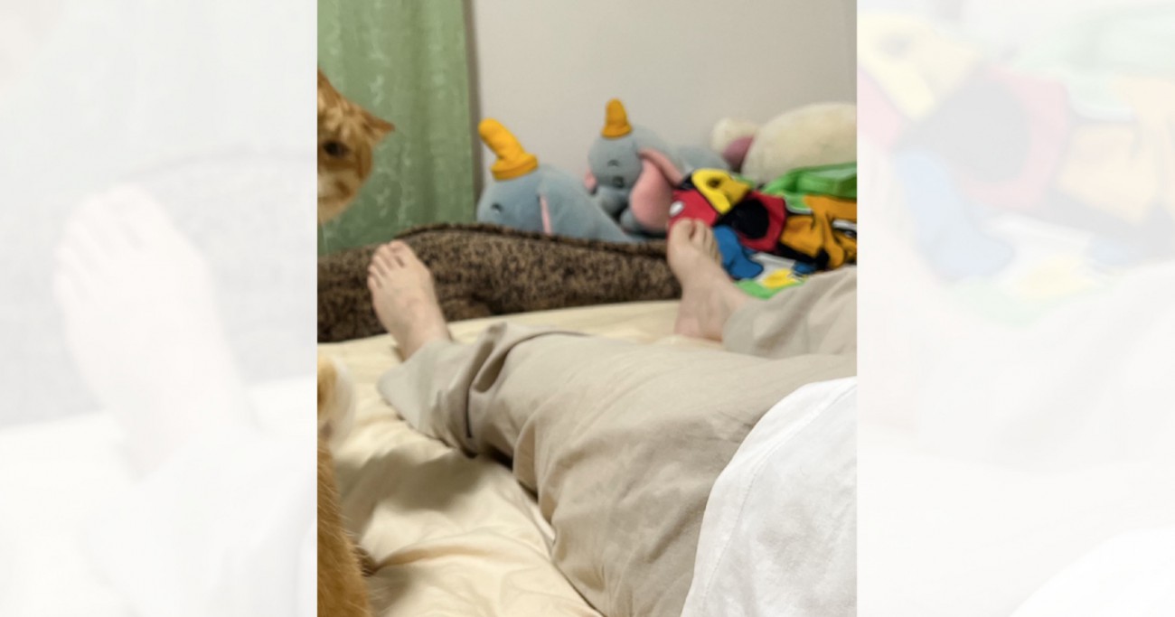 体調不良で横になる飼い主さん→隣に『兄弟猫が来た』かと思ったら…まさかの行動に10万いいね「ママのとなり争奪戦かな」「お、お大事にｗ」
